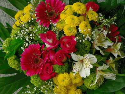 Pięknego słonecznego dnia pozdrawiam